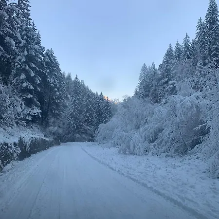 Piste & Terrace - With Parking Appartement *