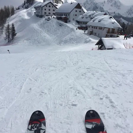 Piste & Terrace - With Parking Lejlighed Tarvisio